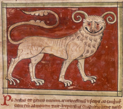 A leopard, 14th century. With a huge grin on its face and a long curly tail.