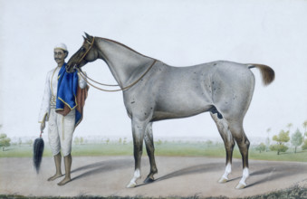 A flea-bitten grey horse with its groom holding a fly-whisk and a red and blue horse-cloth. c1845.