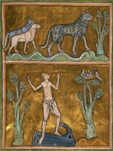 Wolves and semi-naked man, c1230. Detail of a miniature of wolves and (below) the man they have