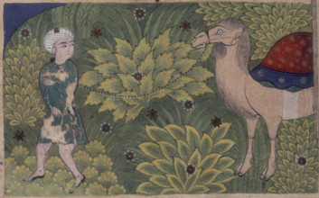 A man leading a camel, 16th century. The man looks over his shoulder.