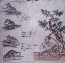 Monkeys and a Buddhist deity, c1700-c1820. On the left are four monkeys. The second one is playing