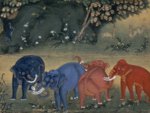 Elephants playing in the forest, 1850. The elephants are touching each other with their trunks.