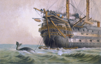 HMS Agamemnon laying the original Atlantic cable, 1850s. Sailors watch a whale. The Agamemnon was a