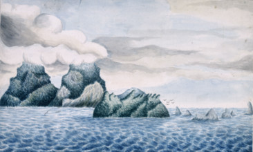 Lord Howe Island, New South Wales, Australia, 1799. The island was discovered and named by