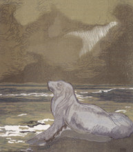 A white seal by the water; scene from "The Jungle Book", 1919. From a French translation of "The