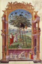 Illustration of the Other Parable, 1582. A man climbs a ladder leaning against a golden fruit tree