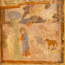 The Creation of Adam, second quarter of the 11th century. From the Old English Hexateuch.