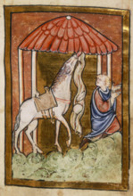 Cuthbert's horse pulls down bread and meat, last quarter of the 12th century. St Cuthbert's horse