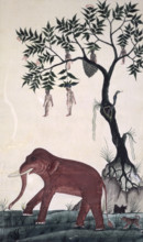 'Lady fruits' & elephant. c.1824. An elephant and naked women growing from a magic tree in the