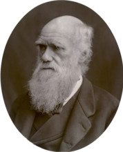 Charles Darwin, 1878. Darwin started his career on board the HMS 'Beagle' and spent six years