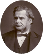 Professor Thomas Henry Huxley, 1880. Between the years 1847-1850 Huxley was the assistant surgeon