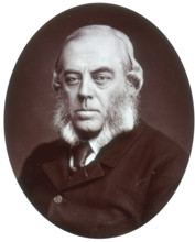 Duke of Malborough, Lord Lieutenant of Ireland, 1881. John Winston Spencer Churchill (1822-1883),