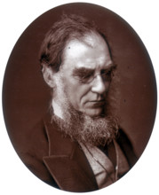 Sir Joseph Dalton Hooker, Director of Royal Gardens at Kew, 1881. Hooker (1817-1911) was a botanist