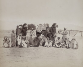 Group of Bactrian camels and camel drivers, Afghanistan, c1879. Bactria was an ancient Greek