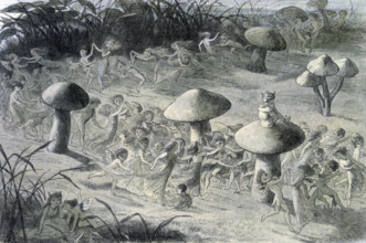 'Water lilies and water fairies of the period', c1869-c1870. An assortment of fairies, nymphs and