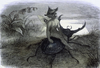 'Water lilies and water fairies of the period', c1869-c1870. 'The Fairy Queen's messenger'. A fairy