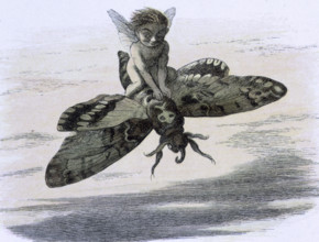'Water lilies and water fairies of the period', c1869-c1870. Here one of them is flying on the back