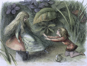 'Water lilies and water fairies of the period', c1869-c1870. From "In Fairy land. A series of