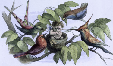 'Water lilies and water fairies of the period', c1869-c1870. An Intruder. A baby fairy is sitting