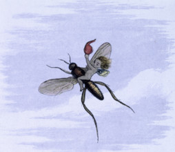 'Water lilies and water fairies of the period', c1869-c1870. Flying away. A fairy flies on the back