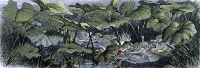 'Water lilies and water fairies of the period', c1869-c1870. Wood elves at play. An assortment of