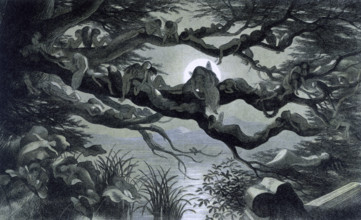 'Water lilies and water fairies of the period', c1869-c1870. An assortment of fairies, nymphs and