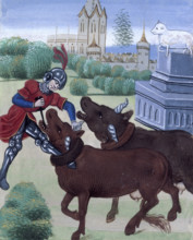 Jason yokes the oxen in his attempt to acquire the Golden Fleece, late 15th century. From a French