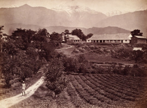 Baijnath tea factory, 1860s. Bungalow and tea gardens on the Baijnath Tea Estate, Kangra Valley,