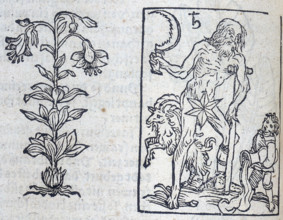 The lily and Saturn, 13th century. Saturn rules both Capricorn and Aquarius in classical astrology,
