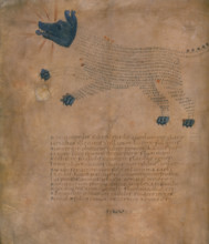 Illustration of the constellation Sirius, with text, c820-840 AD. Sirius is the brightest star in