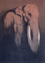Elephant; scene from "The Jungle Book", 1919. From a French translation of "The Jungle Book" by