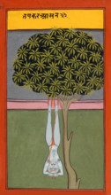 A yogi hanging by his feet from a tree, 19th century. From Asanas and Mudras (Hata yoga).