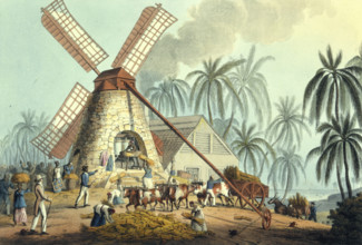 The Mill Yard, Antigua, 1823. A large windmill  set in a tropical landscape surrounded by African