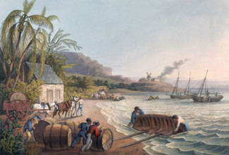 Slaves loading sugar hogsheads onto a boat, 1823. From "Ten Views in the Island of Antigua, in