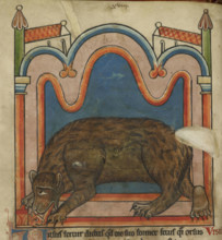 Bear licking a cub into shape, c1230s. From Bestiary, with extracts from Giraldus Cambrensis on