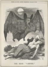 The Irish Vampire, 1885. From Punch Or The London Charivari.