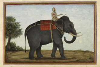 An elephant keeper riding his elephant, 1825 . From Tashrih Al Aqvam An Account Of Origins And