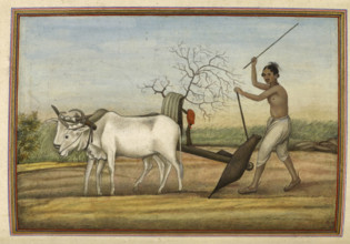 Jat, a numerous tribe spread over much of north, 1825. From Tashrih Al Aqvam An Account Of Origins