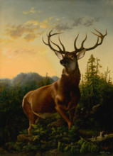 Deer in forest landscape, 1876.