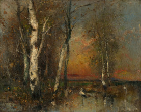 Forest landscape, 1880-1925.