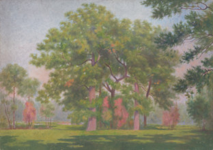 Landscape with trees, early 20th century.