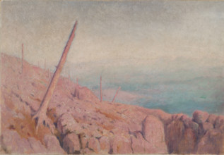 Rocky landscape, (Windthrow), early 20th century.