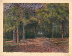 Forest II, early 20th century.