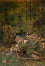 Forest stream, 1900.