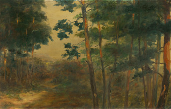 Forest view, 1902-1908.