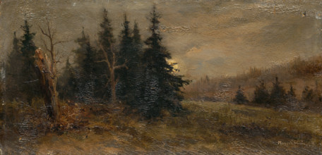 Forest landscape, 1903.