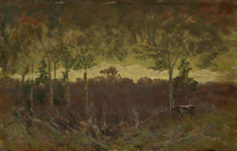 Tatras landscape, early evening, after 1900.