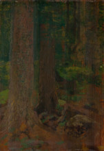Forest study, 1890-1910.