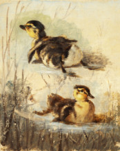 Study of Ducks on the Water II, 1840-1850.