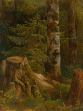 Coniferous woods, interior, 1860-1890.